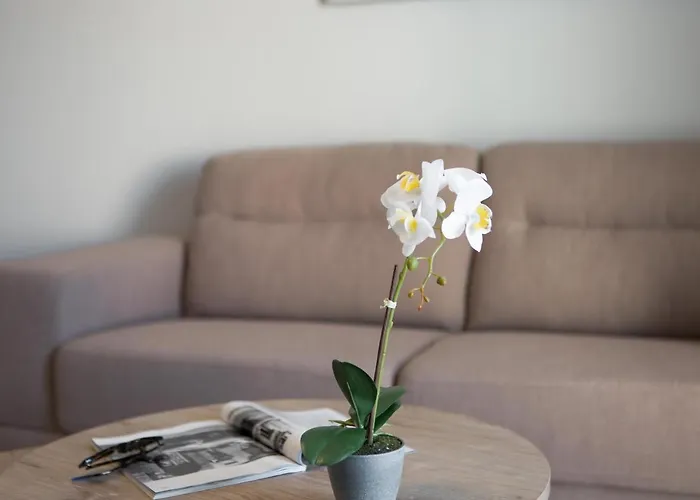 Apartament Casa Ntore Luxury *