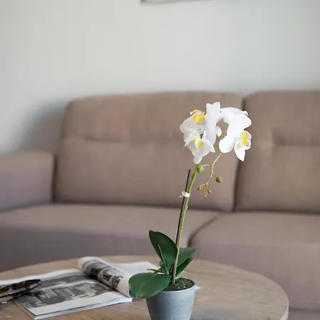 Apartament Casa Ntore Luxury *