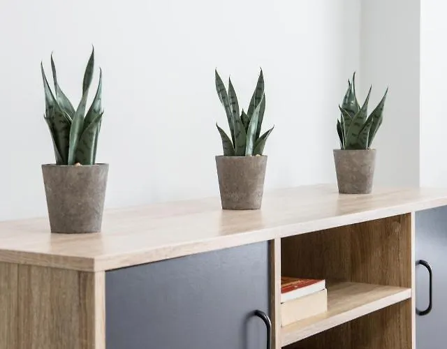 Casa Ntore Luxury * Chania (Crete)